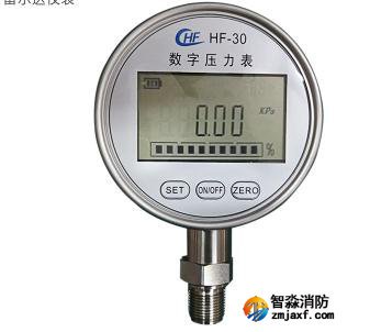 數(shù)字壓力表20MPa